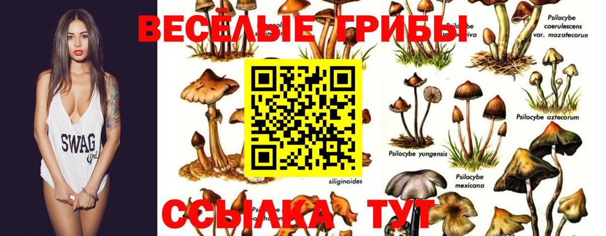 продажа наркотиков  Псилоцибиновые грибы Psilocybine cubensis  Вход с VPN  Азнакаево  Галлюциногенные грибы мухоморы 