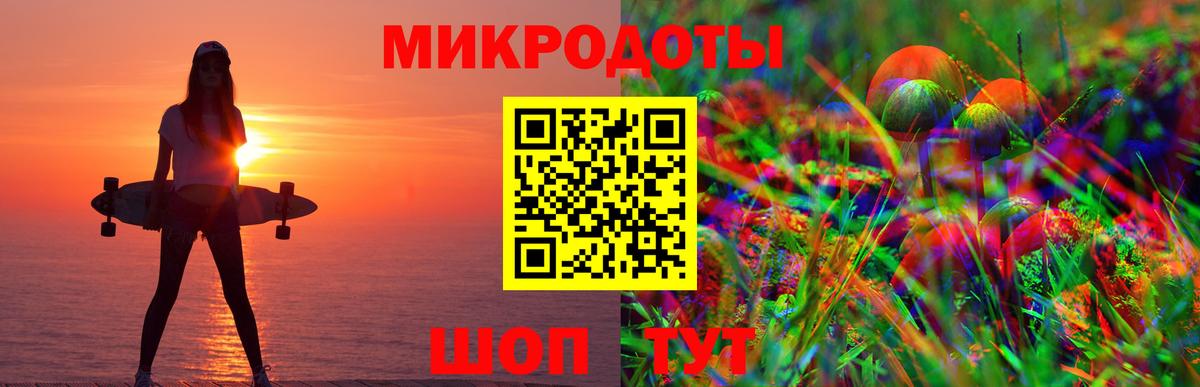 Галлюциногенные грибы Psilocybe Азнакаево